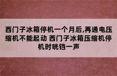 西门子冰箱停机一个月后,再通电压缩机不能起动 西门子冰箱压缩机停机时咣铛一声